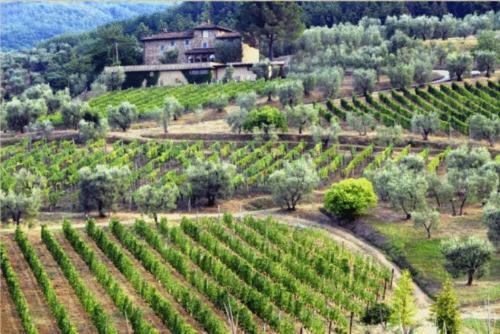 Agroturismo Bello Stare Charming Retreats