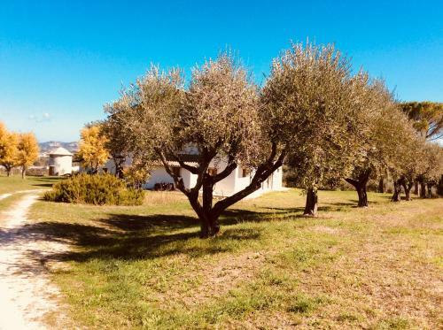Agroturismo Le Terre D'abruzzo