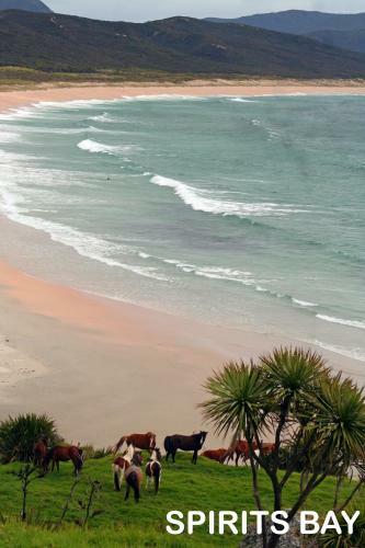Pukenui Holiday Park
