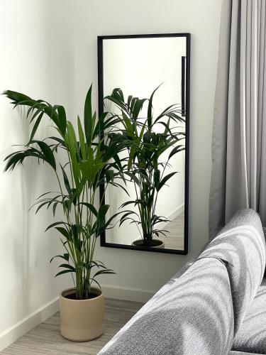 Apartamento 156 Warstone Lane