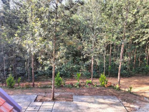 Nature Estate Homestay