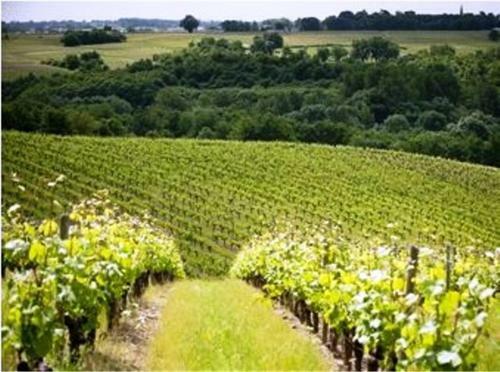 Bed & Breakfast Ch�teau Soucherie