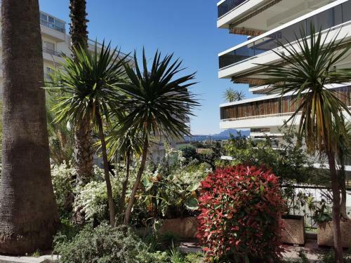 Apartamento Studio Corinthe Juan Les Pins