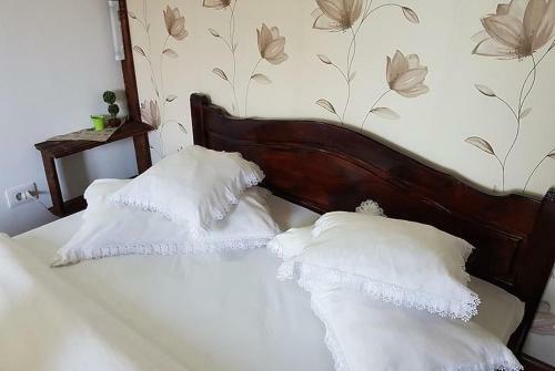 Hostal Casa De Vacan?a Valea Argesului