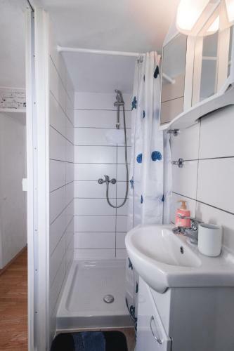 Apartma Remi