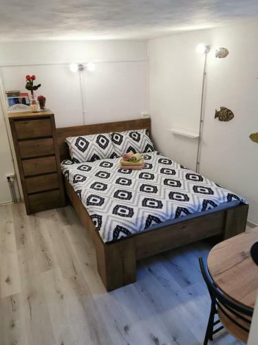 Apartma Remi