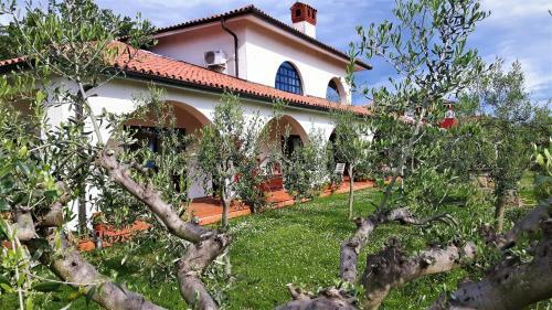 Villa Emi