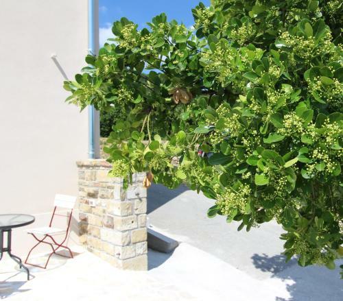 Apartamento Vila Flora