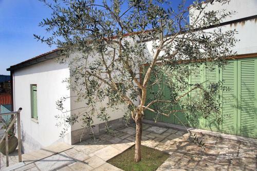 Spacious Villa In Parecag With A Swimming Pool