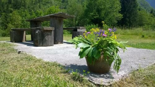 Bovec Home At Three Samoyeds