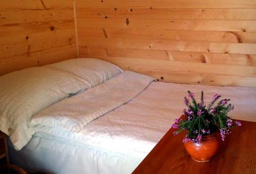 Hostal Guesthouse Planinski Dom Majerhold