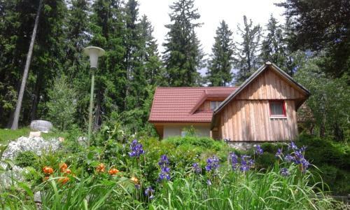 Hostal Guesthouse Planinski Dom Majerhold