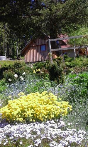 Hostal Guesthouse Planinski Dom Majerhold