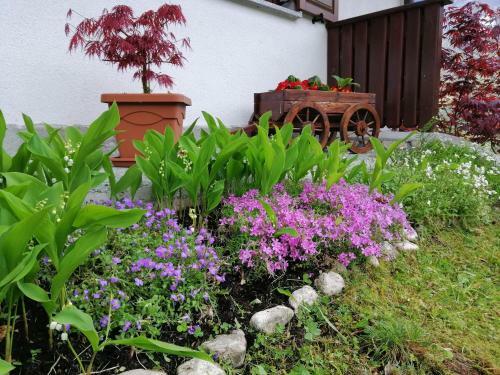 Apartamento Planja