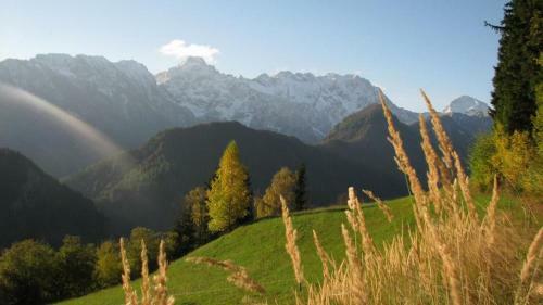 Agroturismo Farm Stay "alpine Dreams"