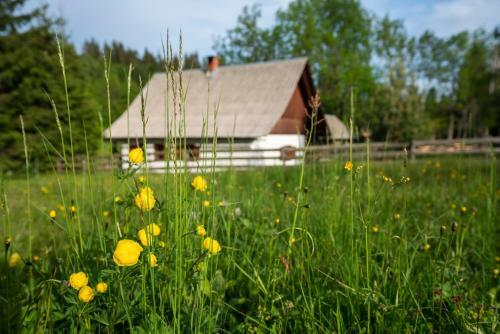 Holiday Home Srednja Vas