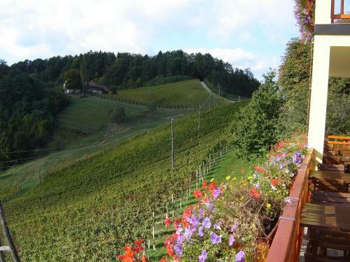 Agroturismo Farm Stay Jarc Vineyard