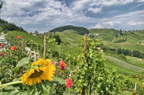 Agroturismo Farm Stay Jarc Vineyard