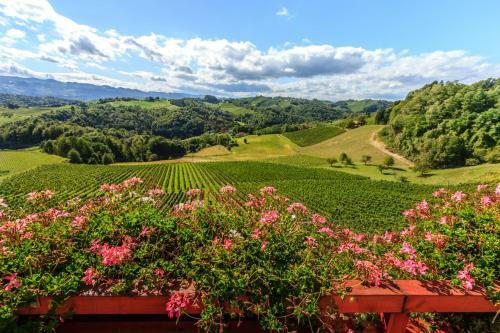 Agroturismo Farm Stay Jarc Vineyard