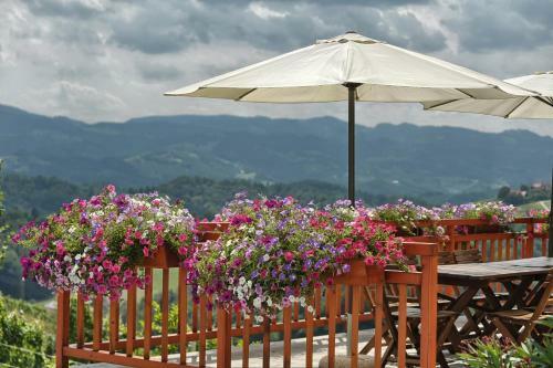 Agroturismo Farm Stay Jarc Vineyard