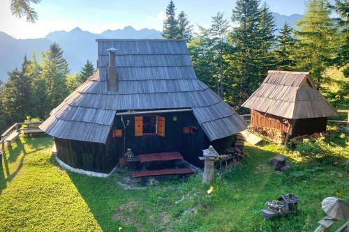 Ko?a ?ivka, Velika Planina