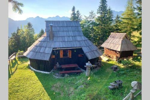 Ko?a ?ivka, Velika Planina