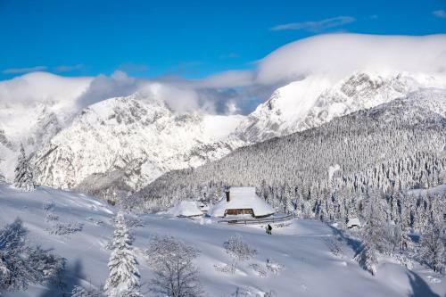 Ko?a Ojstrica - Velika Planina
