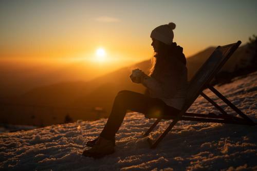 Ko?a Ojstrica - Velika Planina