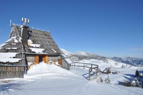 Ko?a Ojstrica - Velika Planina