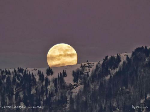Ko?a Ojstrica - Velika Planina