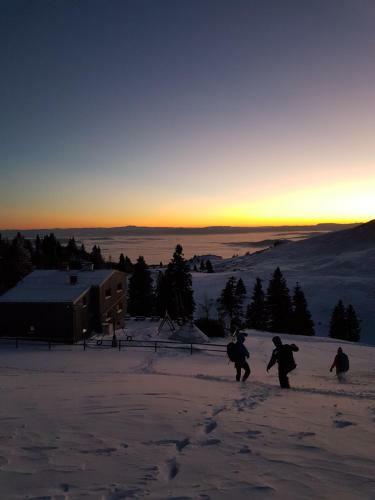 Ko?a Ojstrica - Velika Planina