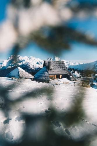 Ko?a Ojstrica - Velika Planina