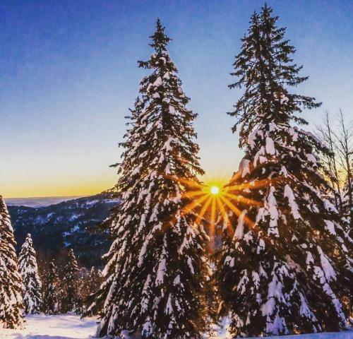 Chalet Lepenatka - I Feel Alps