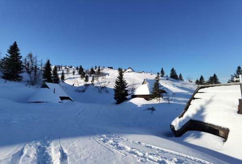 Chalet Lepenatka - I Feel Alps