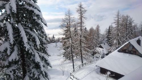 Lodge Ko?a Kekec Velika Planina