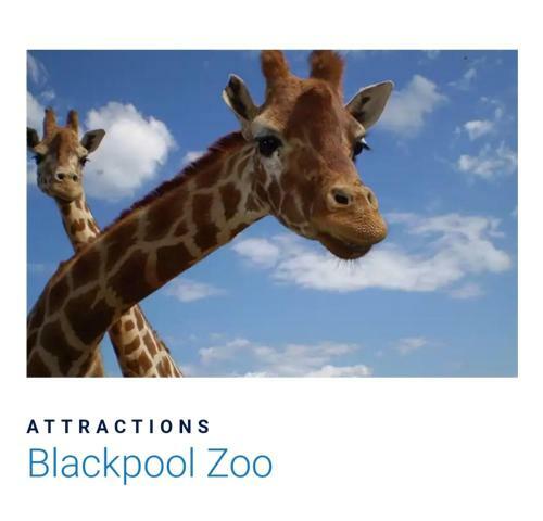 Apartamento Luxury Latest Model Holiday Home