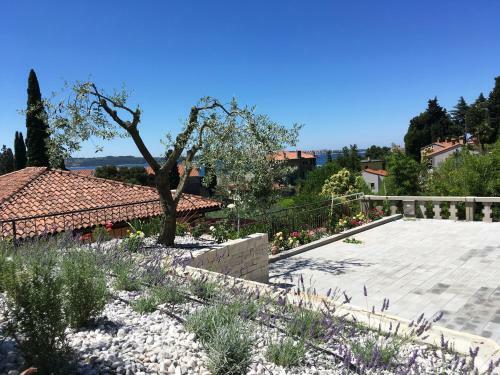 Apartamento Casa Maly