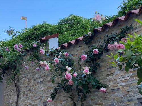 Apartments Villa Beauty Portoro?