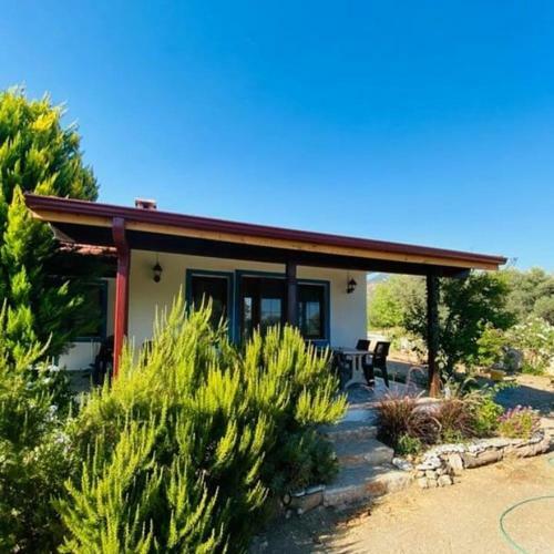 Payam �i�e?i Tatil Evleri