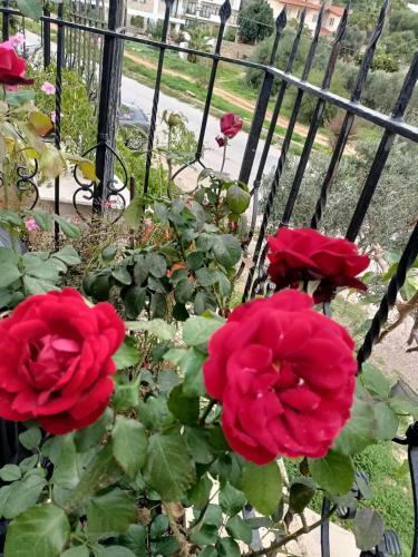 Apartamento Villa Karatas