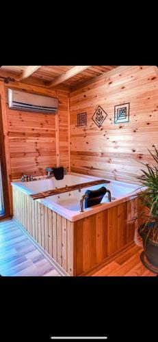 Villa And?zalt? Do?a Evleri Zeytin Ev Dat�a