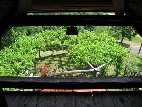 Holiday Home Carovina