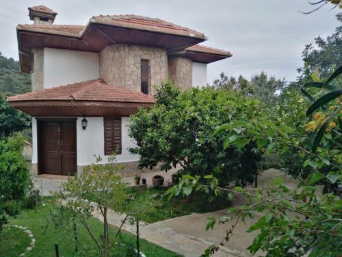 Villa Koza