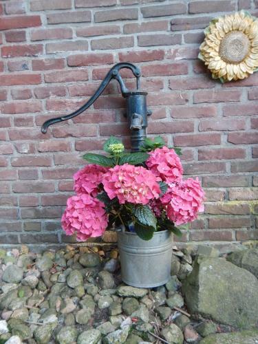 Bed & Breakfast Kozakkenhoeve