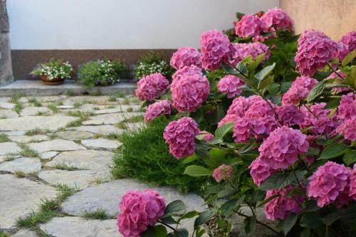 Apartamentos Andron