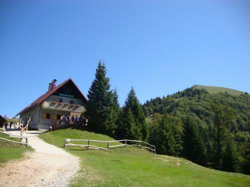 Apartments Za Grapo