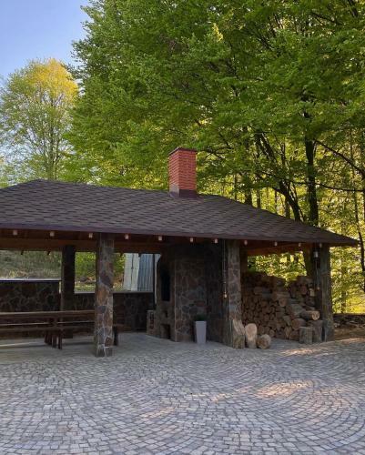 ?????? ????
