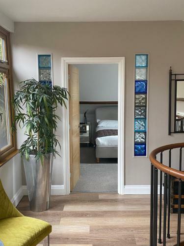 Windsor Luxury Hotel Apartment