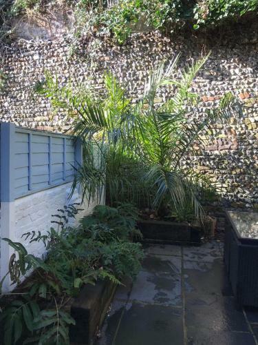 Seaview Cottages