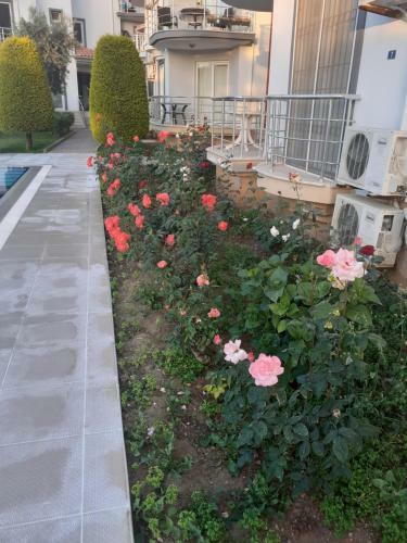 Apartamento Palmbeach Site